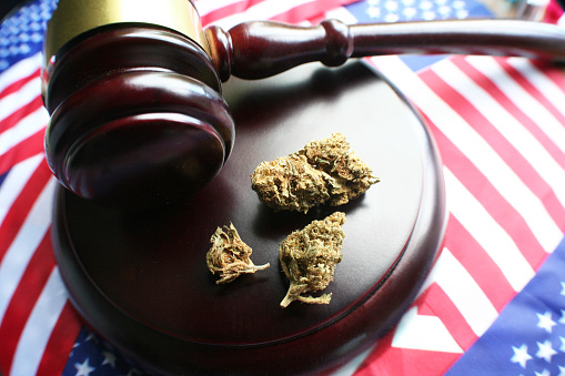 Michigan Marijuana Growing Laws